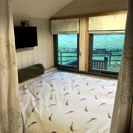 Shepherds Hut, Eco, Log Burner Hot Tub Ny Moors Chalet *