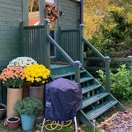 Shepherds Hut, Eco, Log Burner Hot Tub Ny Moors