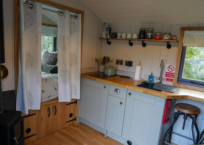 Shepherds Hut, Eco, Log Burner Hot Tub Ny Moors