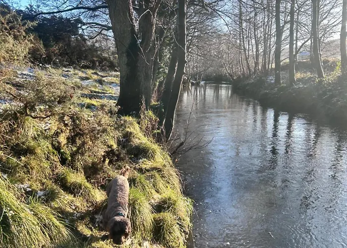 Chalet Shepherds Hut, Eco, Log Burner Hot Tub Ny Moors