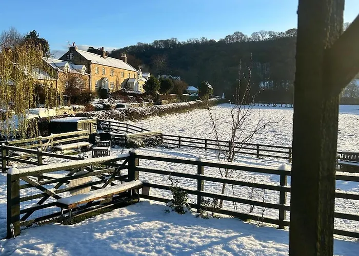 Shepherds Hut, Eco, Log Burner Hot Tub Ny Moors Hackness