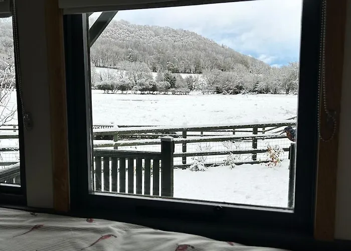 Shepherds Hut, Eco, Log Burner Hot Tub Ny Moors Hackness