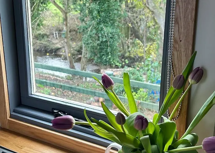 Shepherds Hut, Eco, Log Burner Hot Tub Ny Moors *