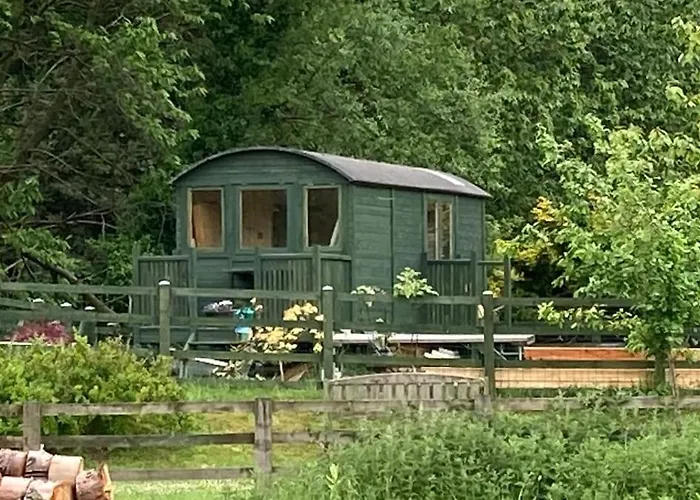 Shepherds Hut, Eco, Log Burner Hot Tub Ny Moors * Hackness