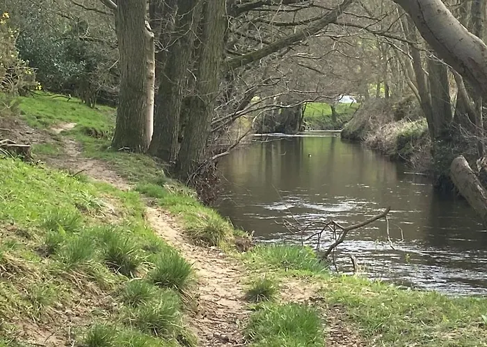 Chalet Shepherds Hut, Eco, Log Burner Hot Tub Ny Moors