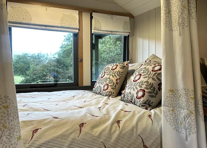 Shepherds Hut, Eco, Log Burner Hot Tub Ny Moors Chalet *