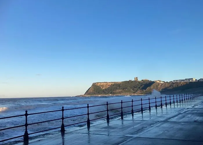 Shepherds Hut, Eco, Log Burner Hot Tub Ny Moors * Hackness