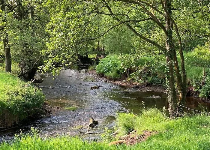 Shepherds Hut, Eco, Log Burner Hot Tub Ny Moors * Hackness