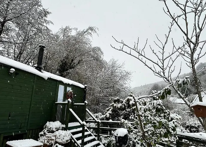 Chalet Shepherds Hut, Eco, Log Burner Hot Tub Ny Moors