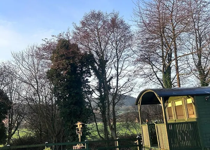 Chalet Shepherds Hut, Eco, Log Burner Hot Tub Ny Moors