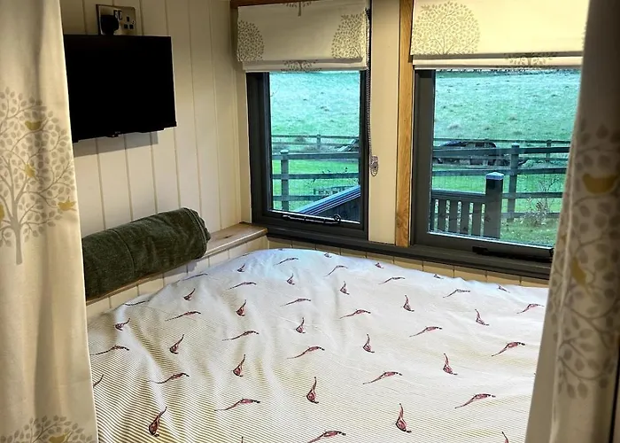 Shepherds Hut, Eco, Log Burner Hot Tub Ny Moors Chalet *