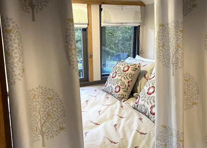 Shepherds Hut, Eco, Log Burner Hot Tub Ny Moors Chalet