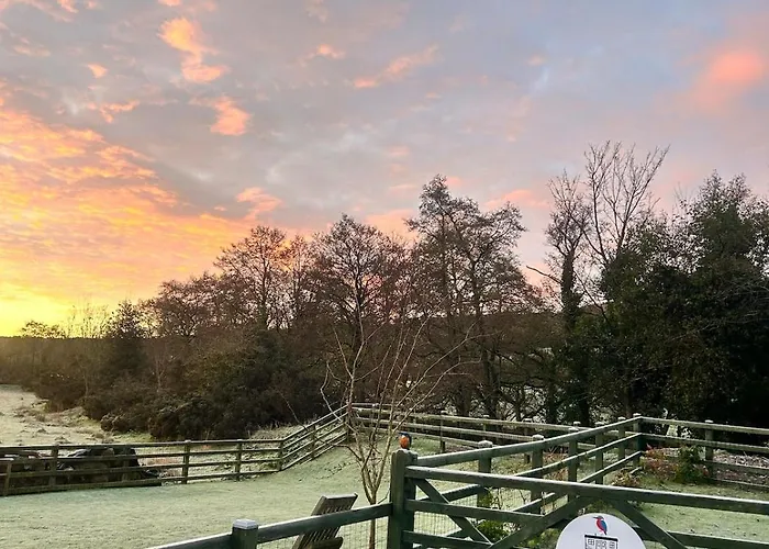 Chalet Shepherds Hut, Eco, Log Burner Hot Tub Ny Moors *