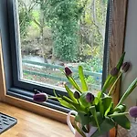 Shepherds Hut, Eco, Log Burner Hot Tub Ny Moors *