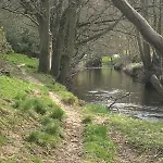 샬레 Shepherds Hut, Eco, Log Burner Hot Tub Ny Moors