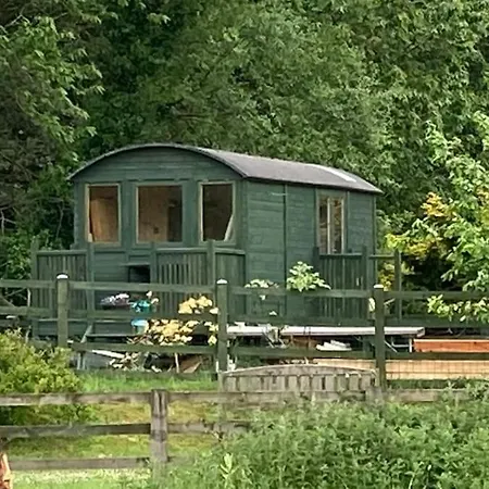 Shepherds Hut, Eco, Log Burner Hot Tub Ny Moors * Hackness