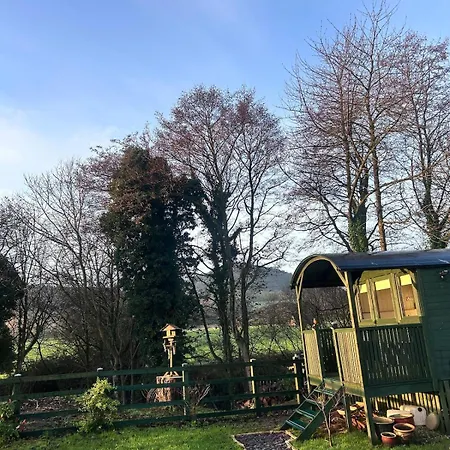 Domek alpejski Shepherds Hut, Eco, Log Burner Hot Tub Ny Moors