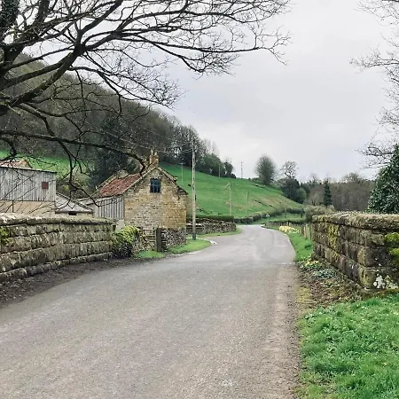 シャレー Shepherds Hut, Eco, Log Burner Hot Tub Ny Moors *