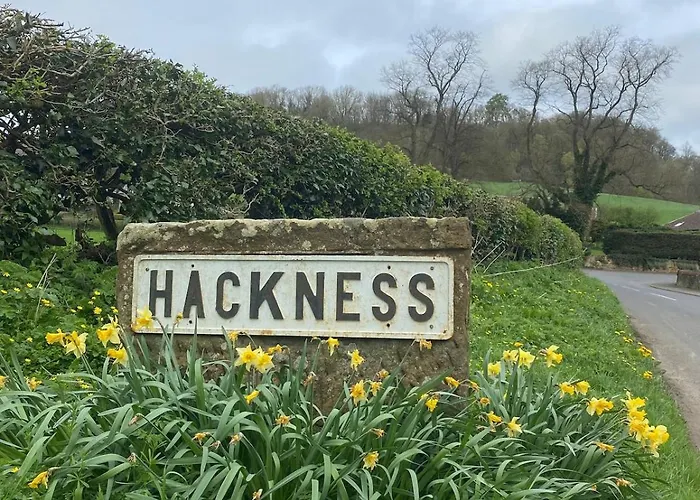 Shepherds Hut, Eco, Log Burner Hot Tub Ny Moors *