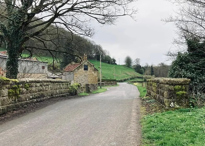 シャレー Shepherds Hut, Eco, Log Burner Hot Tub Ny Moors *