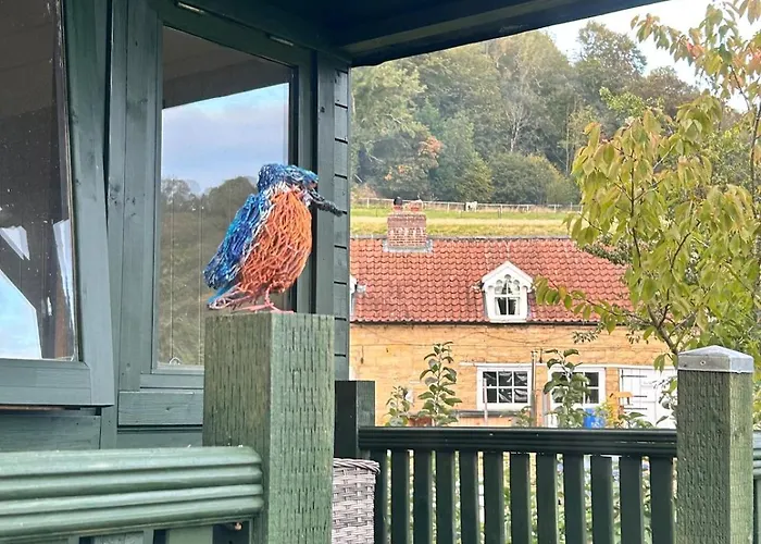Shepherds Hut, Eco, Log Burner Hot Tub Ny Moors * Hackness
