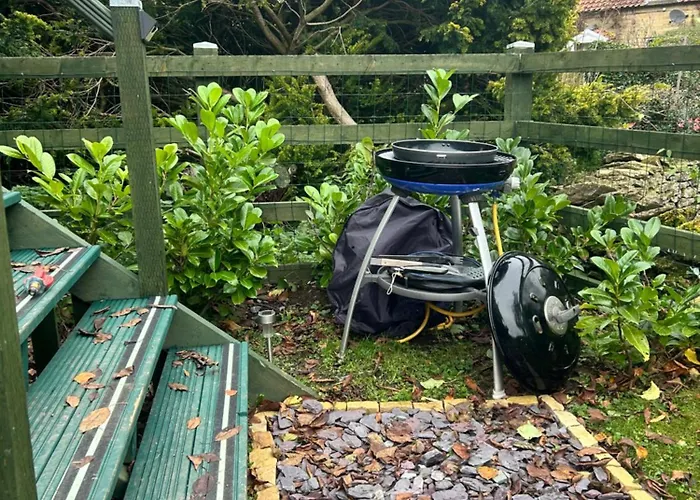 Shepherds Hut, Eco, Log Burner Hot Tub Ny Moors シャレー *